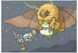 小蛙最新爆料,揭秘娱乐圈最新动态