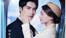 爱的着陆在线观看,浪漫邂逅，情感升华的温馨之旅