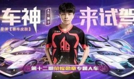 23期荣耀勋章爆料最新,揭秘神秘英雄背后的荣耀之路