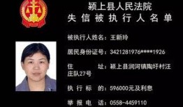 阜阳秦妮欠钱爆料视频,揭秘背后真相与争议