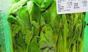 有机蔬菜爆料怎么做视频,揭秘视频制作全攻略