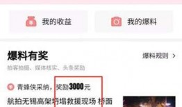 今日头条只能爆料视频么,揭秘爆料视频背后的秘密与趋势
