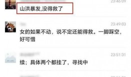 泰蜜爆料聊天记录视频下载,幕后真相大曝光