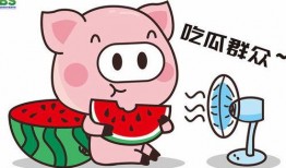 娱乐吃瓜酱蠢人,蠢人生涯的趣味解读
