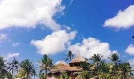 印尼巴厘岛爆料者视频播放,真实事件背后的惊人真相