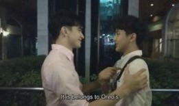 爱的着陆在线观看,浪漫邂逅，情感升华的温馨之旅