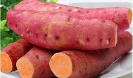重庆烤红薯爆料案件最新,真相大白，疑云散去