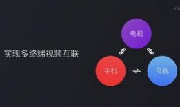 爆料视频功能有哪些,功能解析与使用指南