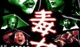 电影毒女手机在线观看,揭秘网络世界的暗黑面