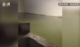 太原楼道爆料视频大全集,揭秘社区生活点滴