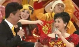 春晚人员爆料视频大全集,揭秘幕后故事与精彩瞬间