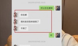 西泽直播爆料最新消息视频,揭秘热点事件幕后真相