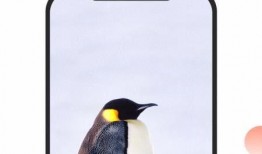 舌尖爆料探店视频下载免费