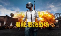 吃鸡抽奖爆料视频下载,视频内容深度解析