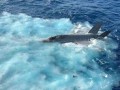 爆料美国坠机视频播放,惊心动魄的空中瞬间