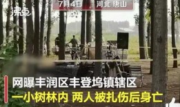 唐山爆料视频,现场惊心动魄，真相令人震惊