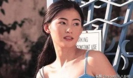 黄璐爆料张柏芝视频播放,真相与争议