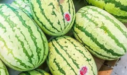 网红做业务吃瓜