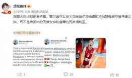 加菲最新爆料新闻报道,揭秘娱乐圈惊人内幕