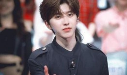 狗仔爆料王子奇视频,王子奇私密视频曝光，真相揭秘