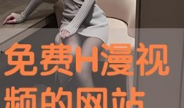 h在线手机观看视频在线观看,h在线手机观看视频，随时随地尽享精彩
