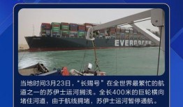 每日经济新闻爆料方式,揭秘行业黑幕，揭开企业真实面目