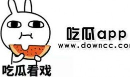 网红视频吃瓜黑料软件,揭秘网络背后的真相
