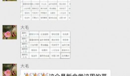 网瘾阿胖爆料事件视频播放,揭秘网络现象背后的真相