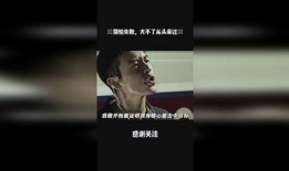 在线观看视频国产,在线观看视频的崛起与国产生态构建