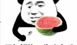 娱乐吃瓜酱很急,娱乐圈最新猛料大揭秘！