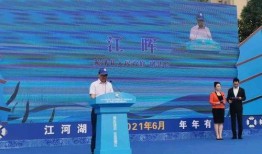 台媒爆料韩三平视频播放,台媒揭露韩三平视频播放背后真相