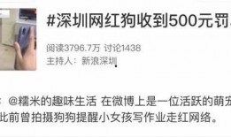 网红糯米爆料视频大全,揭秘娱乐圈幕后真相