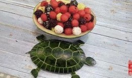 网红做业务吃瓜