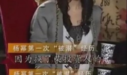 娱乐圈最新爆料在哪里看,揭秘明星幕后故事，独家追踪！