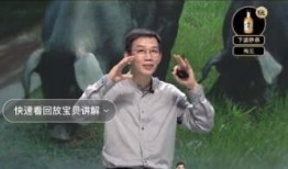 古董商人物爆料视频播放,古董界背后的惊人秘密
