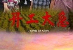 开工大急 在线观看