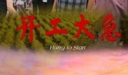 开工大急 在线观看