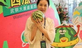 围观吃瓜小说免费阅读,揭秘围观吃瓜小说背后的精彩故事