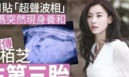 黄璐爆料张柏芝视频播放,真相与争议