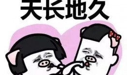 闺蜜进了娱乐圈带我吃瓜,带我一起尝鲜娱乐圈瓜果盛宴