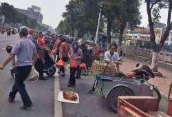 东湖爆料霸凌事件视频,校园霸凌事件视频引发社会关注