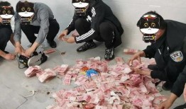 圈内人爆料文轩被抓,圈内人独家爆料，真相揭晓