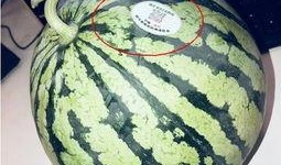 网红吃瓜杂货铺,揭秘娱乐圈幕后故事