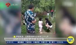 毛娘被人爆料视频,揭秘网络舆论背后的真相