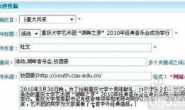 新闻媒体投稿爆料渠道怎么写,如何高效传递信息