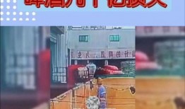 青岛啤酒爆料视频播放,揭秘背后爆笑故事