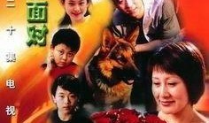 勇敢面对电视在线观看,电视节目深度解析与在线观看指南