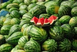 潍坊网红吃瓜事件真相,揭秘背后真相与反思