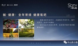 吴川最新爆料网招聘电话,揭秘网招聘电话背后的真相