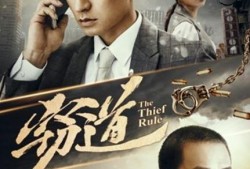 电影 窃道 在线观看,暗夜追击，真相背后